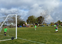 Moulton_Meadows_240x170