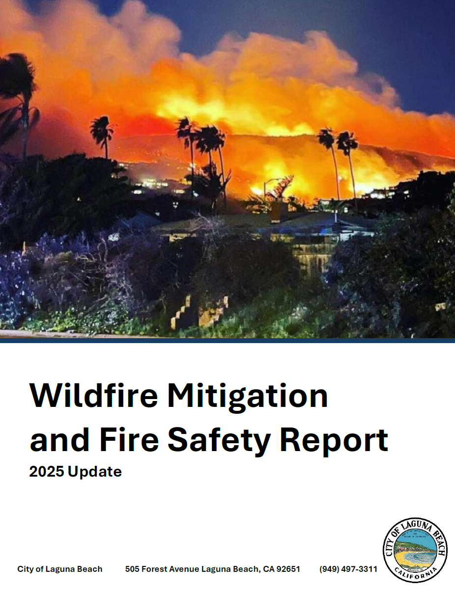 Wildfire Ad Hoc Front Cover 2025
