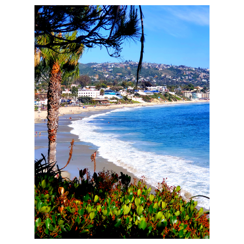 2019 People’s Choice Winner